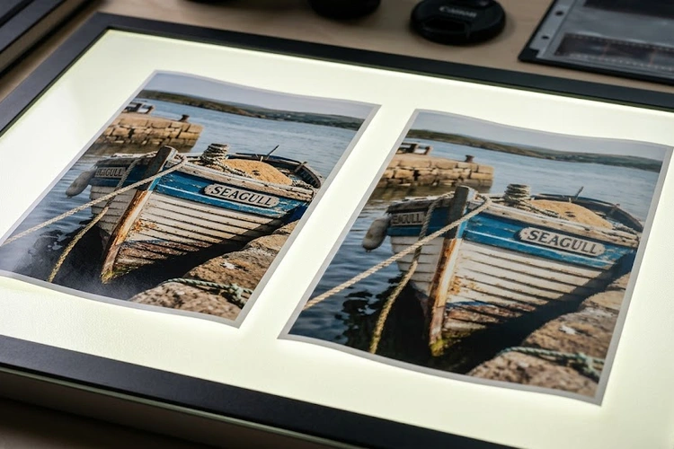 close-up of a high-resolution photo print showing sharp detail — what dpi for photo printing guide